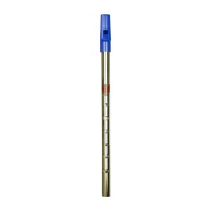 Generation 6585 Eb, Nickel Flageolet