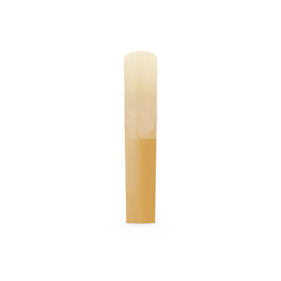 12110b.png