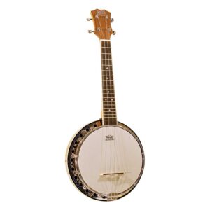 Barnes & Mullins UBJ1 Ukulele Banjo